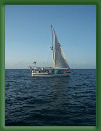 Sea Base 2008 (5) * 1932 x 2576 * (655KB)